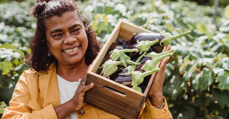 Industry Trends, Growth - Joyful middle aged ethnic female farmer in casual clothes smiling and carrying wooden box with heap of fresh organic eggplants while working on plantation on sunny day