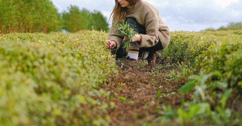 Tips, Professional Growth - Ground level perspective view of female gardener picking sprouts of green plant while working on agricultural field in countryside during harvest season