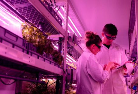 Innovation, Agricultural Techniques - Scientists in Indoor Farm