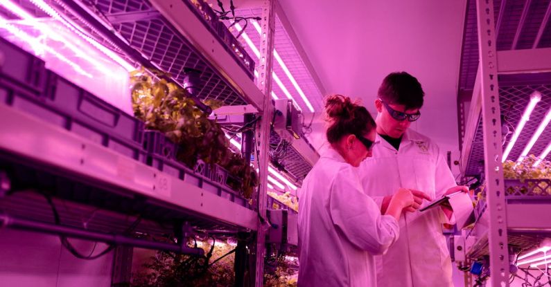Innovation, Agricultural Techniques - Scientists in Indoor Farm